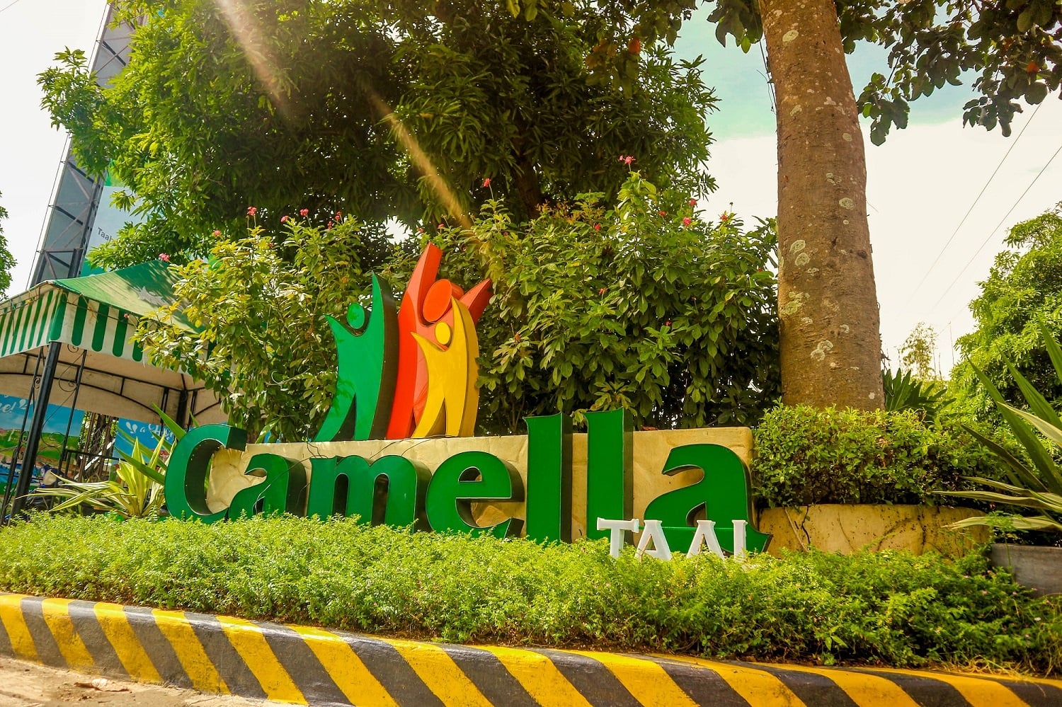 Camella Taal